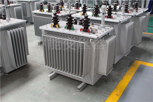 呼和浩特S22-100KVA/10KV/0.4KV变压器